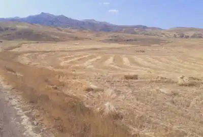 دو قطعه زمین روستای مرادلو بخش هوراند بغل آسفالت
