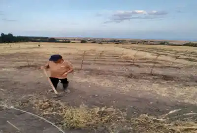 زمین ۱۵۰۰متر جهت باغ روستای دودران نزدیک جنگل فندقلو