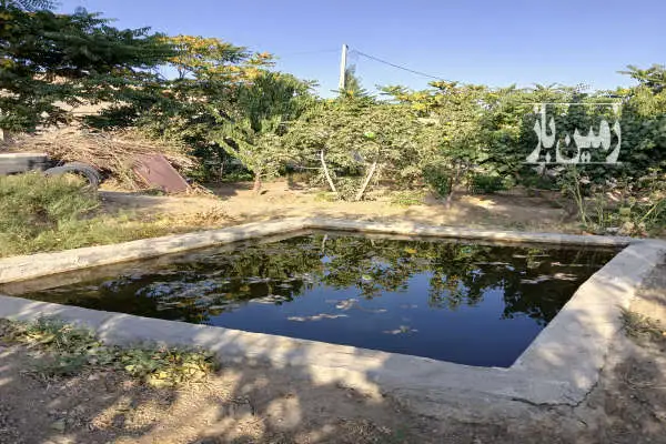 زمین ( باغچه) به مساحت ۲۷۰ متر بالاتر از باغستان غربی در چنارک - تصویر 2