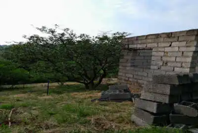 زمین به متراژ ۳۱۵ متر در روستای پایین کولا