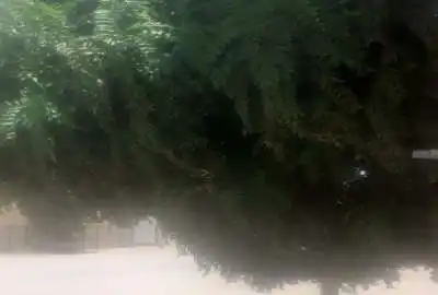 زمین ۲۷۸ متری واقع در شهرستان رابر
