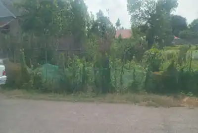 زمین باغی مسکونی در روستای ایمن آباد ۶۵۰ متر