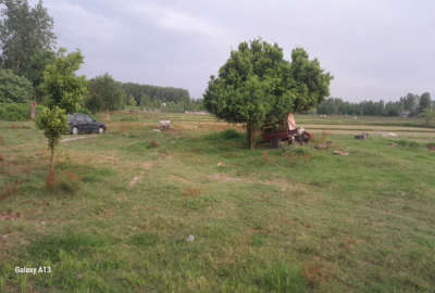 زمین ۱۸۲۷متر واقع در جاده سنگر ویشکاننک