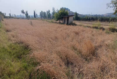 زمین ۴۱۲ متر تجاری صنعتی واقع در روستای گل خیل