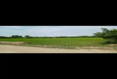 زمین کشاورزی در همت اباد با چاه اب ۵۰۰ متری