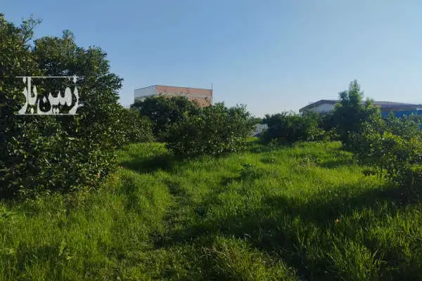 زمین ۲۶۰ متری بافت کشاورزی جاده دریا روستای آبمال - تصویر 3