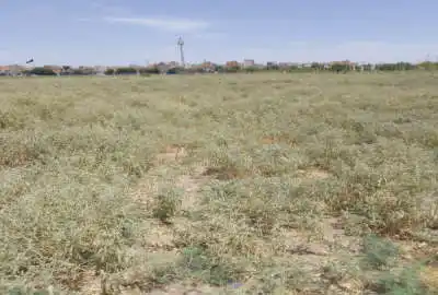 ۱۲۰ متر زمین باغ و باغچه ابعاد ۱۰ در ۱۲ روستای محمد اباد