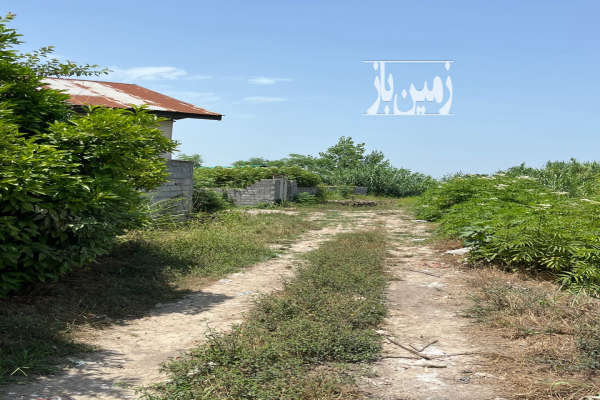 ۳۰۰ متر باغ با پروانه ساخت جاده امل به سرخرود محله قادیکلا-2