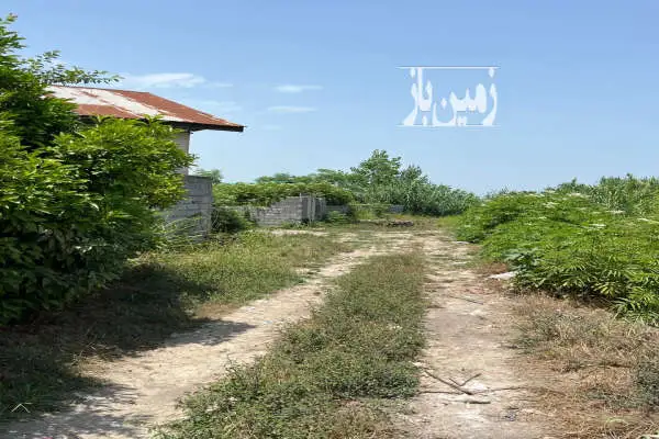 ۳۰۰ متر باغ با پروانه ساخت جاده امل به سرخرود محله قادیکلا - تصویر 2