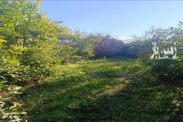 زمین ۱۰۰۰ متر باغچه برق دار نزدیک به مرکز شهر در شهرک مهاجرین - تصویر 4