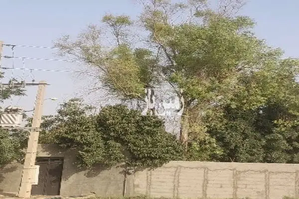 زمین ۴۰۰۰ متری سند دار تک برگ شریف اباد کریم آباد چهار دیواری - تصویر 3