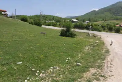 زمین در کجور کدیر تلی نو ۴٠٠ متر جاده اصلی