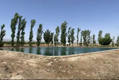 باغ میوه با بازدهی مناسب و موقعیت عالی ۱۰ هکتار