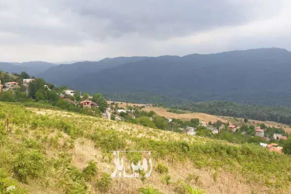 زمین در جاده ساری کیاسر روستای ورند هزار متر مربع - تصویر 2
