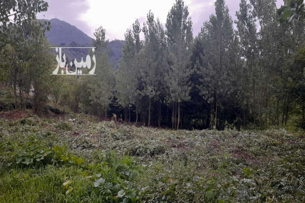 زمین ۳۰۰۰ متر فروشی داخل طرح باغی روستای سطلسر-1