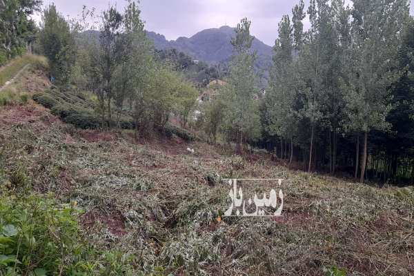 زمین ۳۰۰۰ متر فروشی داخل طرح باغی روستای سطلسر-2