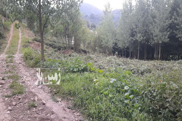 زمین ۳۰۰۰ متر فروشی داخل طرح باغی روستای سطلسر-3