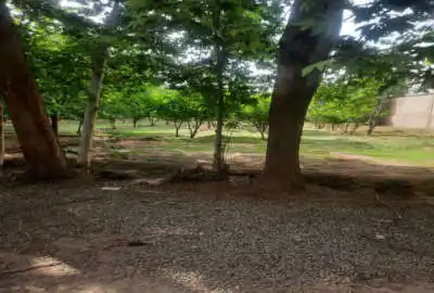 زمین ۵۰۰ متری فروشی مناسب ساخت شهرک مدرس(گلتپه)