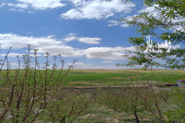 زمین باغی فروشی در شیراز خانه زیان دارای سند با منظره عالی-1