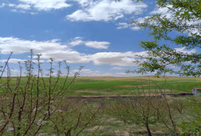 زمین باغی فروشی در شیراز خانه زیان دارای سند با منظره عالی