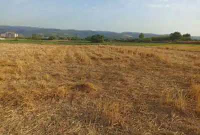 زمین ۱۵۴۰ متر فروشی در روستای کوهستان پایین تر از راه آهن