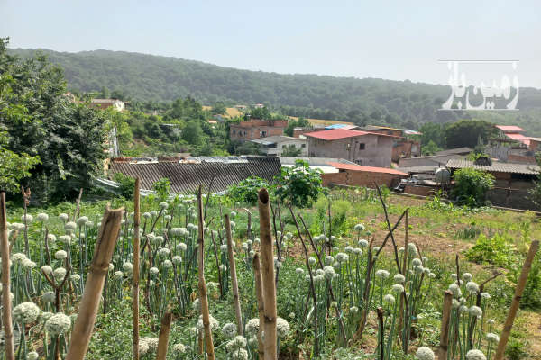 زمین فروشی در روستای زرین آباد علیا ۲۰۰ متری-1