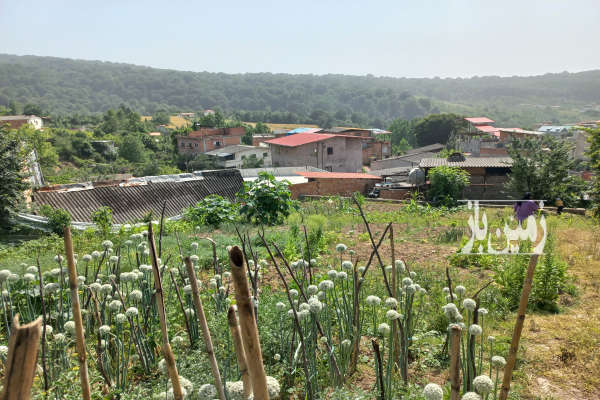 زمین فروشی در روستای زرین آباد علیا ۲۰۰ متری-4