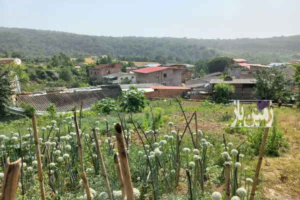 زمین فروشی در روستای زرین آباد علیا ۲۰۰ متری - تصویر 4
