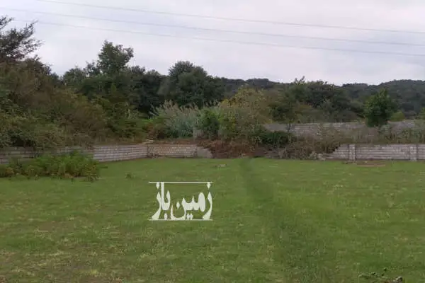 ۴۵۵۰ متر زمین منطقه جنگلی مزرس امل پلاک یک جنگل - تصویر 2