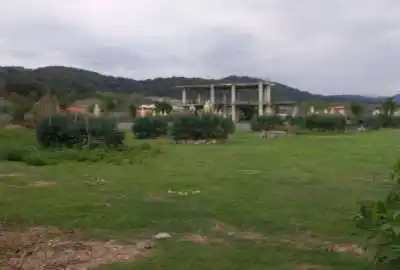 ۴۵۵۰ متر زمین منطقه جنگلی مزرس امل پلاک یک جنگل