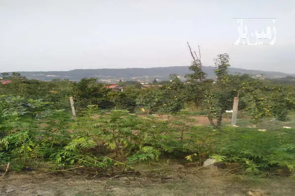 زمین مسکونی ۲۵۰ متر در روستای چهره بابل - تصویر 3