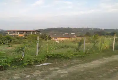 زمین مسکونی ۲۵۰ متر در روستای چهره بابل