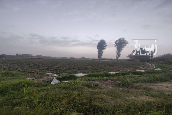 زمین کشاورزی در روستای ایقربلاغ هشتگرد ۵۷۱۴ متر-2