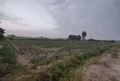 زمین کشاورزی در روستای ایقربلاغ هشتگرد ۵۷۱۴ متر