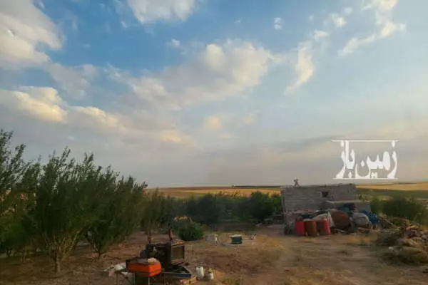 باغ میوه ۸ ساله در شهرستان مراغه روستای پالچقلو ۲ هکتار - تصویر 3
