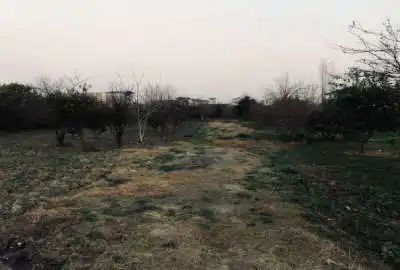باغ ۸۰۰ متری روستای فولادکلا بابلسر