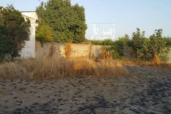 زمین مسکونی ۶۰۰ متری داخل بافت روستا در نکا - تصویر 4