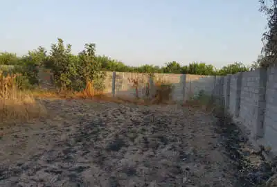 زمین مسکونی ۶۰۰ متری داخل بافت روستا در نکا