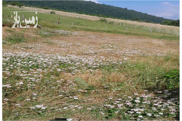 زمین ۱۰۰۰ متر مستنثیات در ییلاق وندشت کسمجان-2