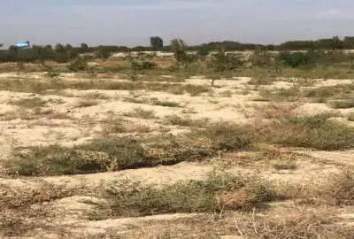زمین فروشی زراعی در اسفندآباد ملارد ۷۶۷ متر