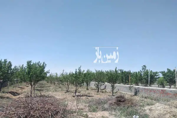 باغ فروشی ۵۷۵ متر واقع در تنکمان محمد آباد خالصه - تصویر 2