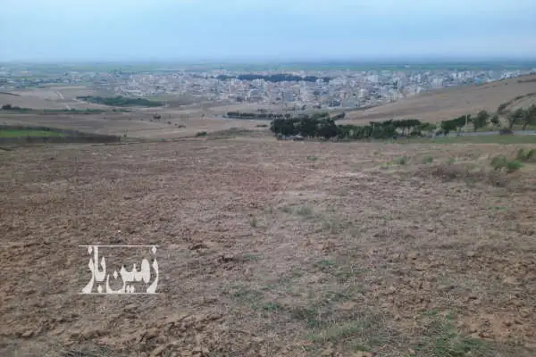 زمین باغی کشاورزی فروشی آینده دار زیتون تپه ۴۵۰ متر - تصویر 3