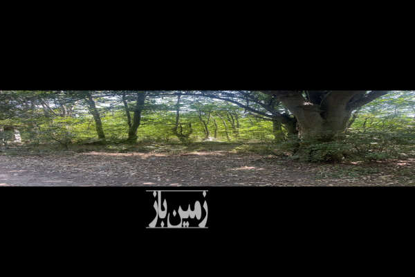 باغ فروشی در احمد گوراب رشت به متراژ ۹۵۰۰ متر-2