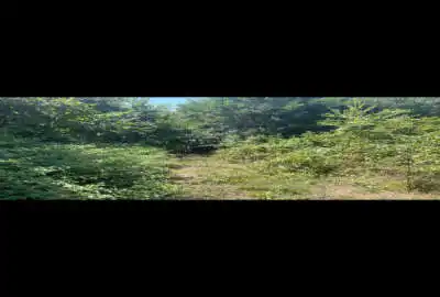 باغ فروشی در احمد گوراب رشت به متراژ ۹۵۰۰ متر