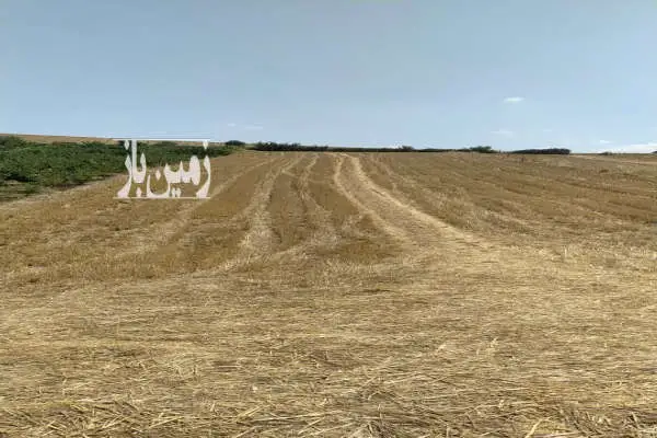 زمین کشاورزی فروشی ۴۰۰۰ متر آب برق گاز در کنار زمین موجود - تصویر 2