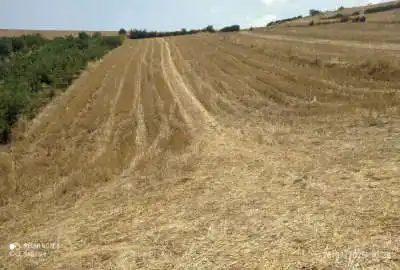 زمین کشاورزی فروشی ۴۰۰۰ متر آب برق گاز در کنار زمین موجود