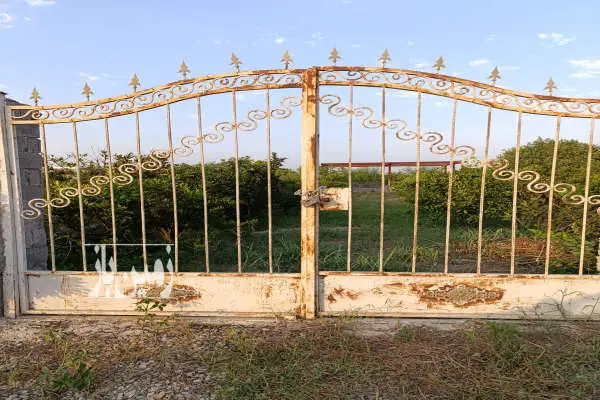 ۶۰۰ متر زمین کشاورزی با انواع درختان ساری کمربندی غربی روستای زرگر - تصویر 1