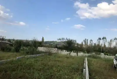 زمین در شمال شیرگاه روستای بورخیل ۲۱۰ متری