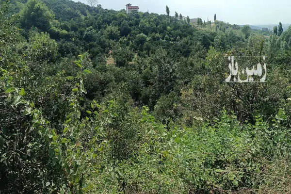 زمین رو تپه با ویو نزدیک چشمه آب بابلکنار درونکلا شرقی - تصویر 2