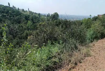 زمین رو تپه با ویو نزدیک چشمه آب بابلکنار درونکلا شرقی